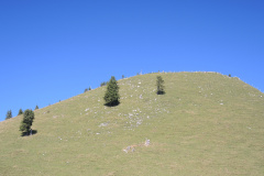 DSCN5038