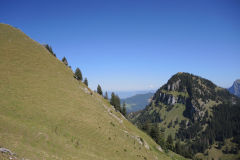DSCN5040