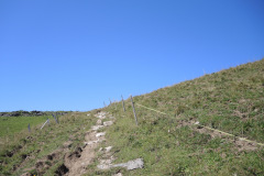 DSCN5041