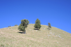 DSCN5042