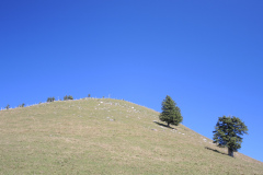 DSCN5043