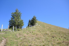 DSCN5044