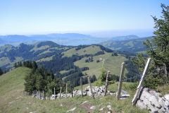 DSCN5051