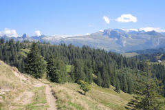 DSCN5062