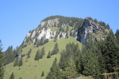 DSCN5068