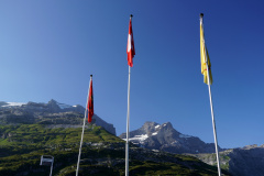 DSC09009