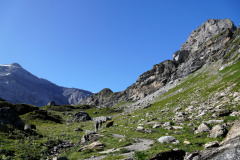 DSC09055