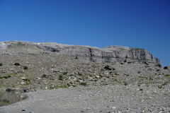 DSC09118