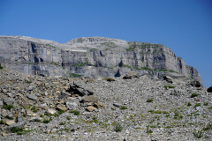 DSC09119