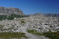 DSC09124