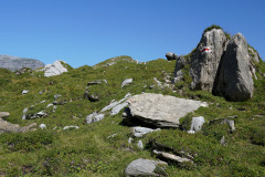 DSC09132