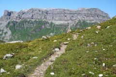 DSC09134