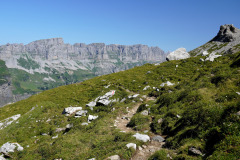 DSC09135
