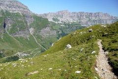 DSC09137