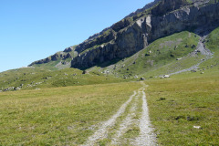 DSC09154