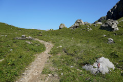 DSC09163