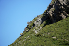 DSC09168