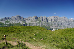 DSC09171