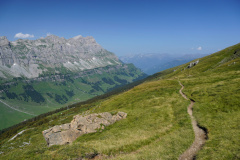 DSC09176