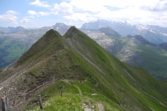 DSCN1846
