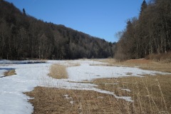 DSCN2568