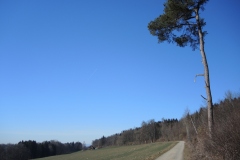 DSCN2582