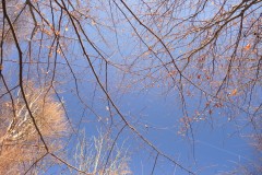 DSCN2586