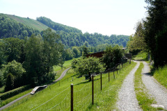 DSC08624