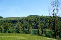 DSC08626