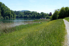 DSC08642
