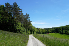 DSC08686
