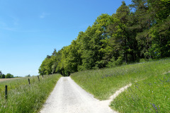 DSC08689