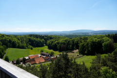 DSC08700