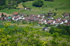 DSC08703