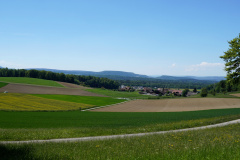 DSC08706