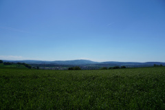 DSC08707