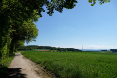 DSC08708