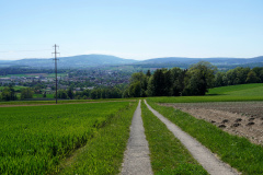 DSC08712
