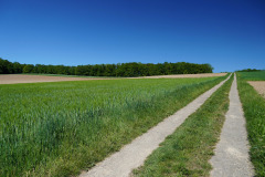 DSC08714