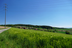 DSC08717