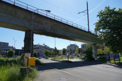 DSC08723