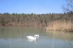 DSCN1358
