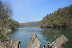 DSCN0528