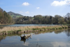 DSCN0531