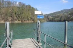 DSCN0534