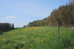 DSCN0544