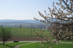 DSCN0547