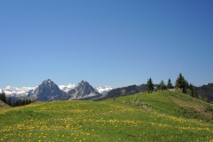 DSCN1535