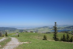 DSCN1536