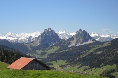 DSCN1544